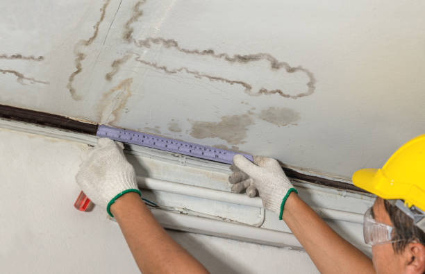 Reliable Water Damage Repair contractor in Cabin John, MD by Hirex Water Damage